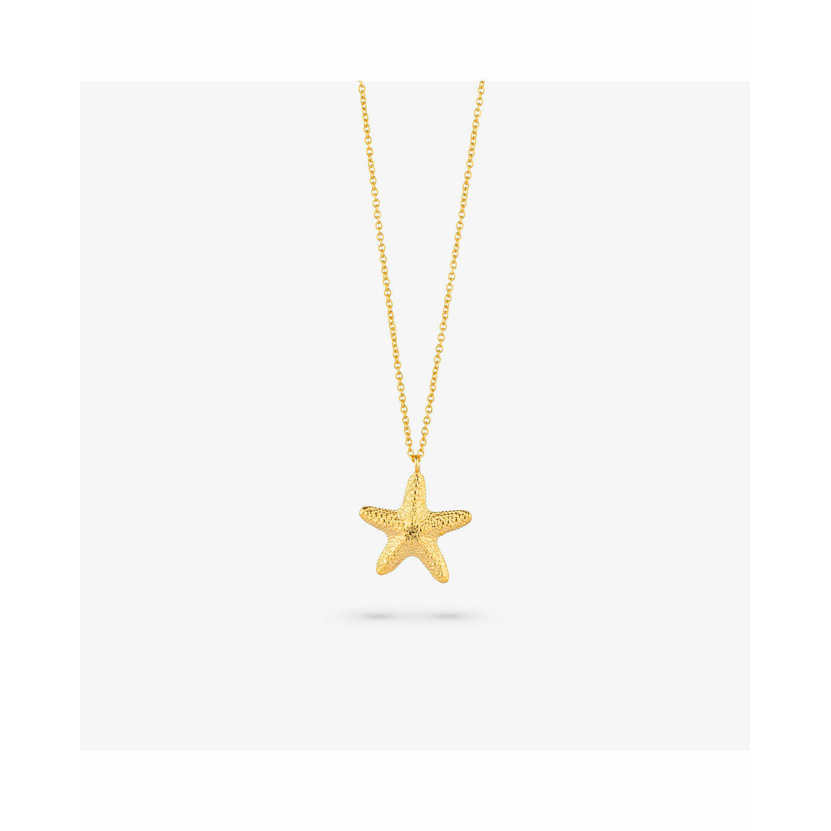 V5HD28C3528E80055B905019A4BA9B2BB0AR4243733P5