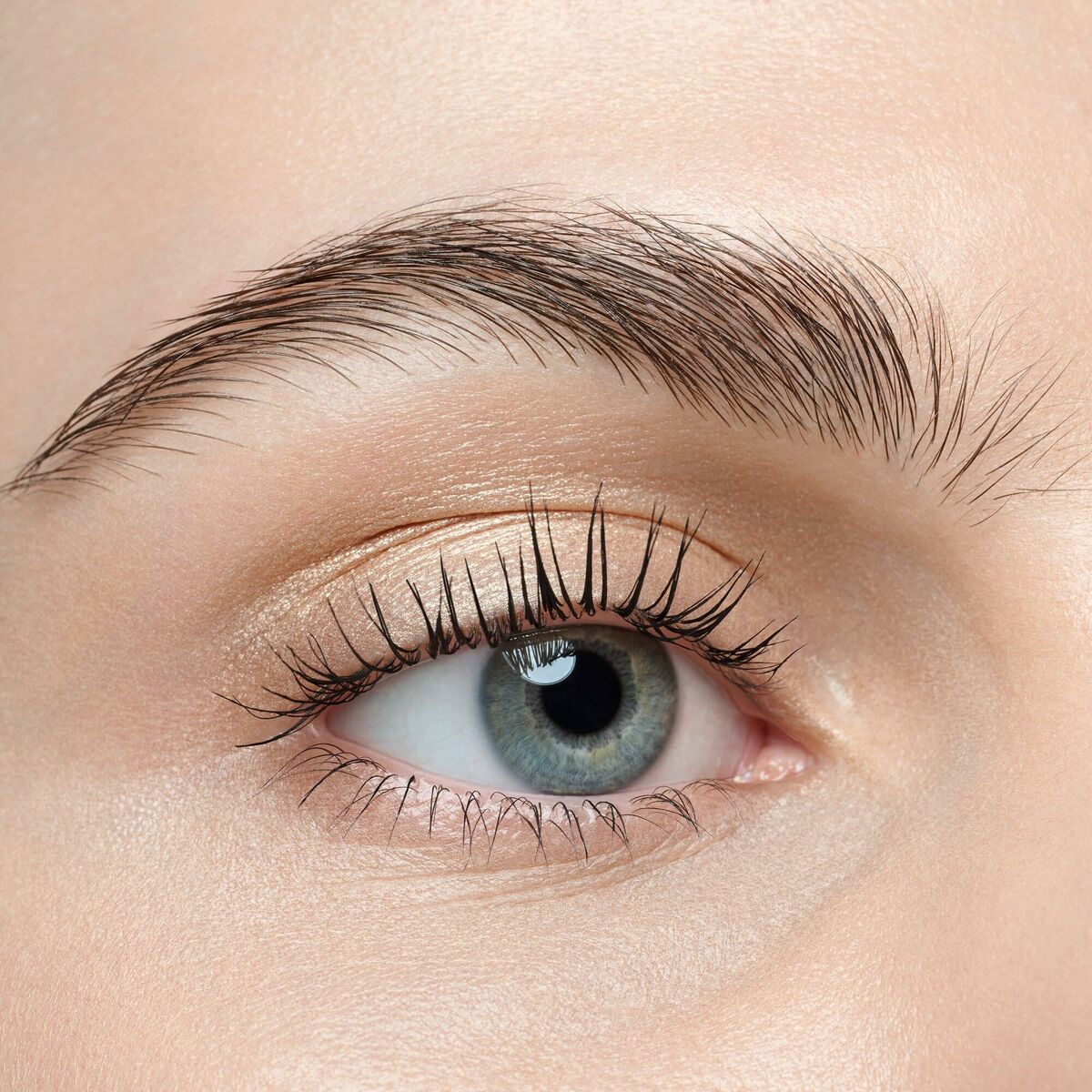 V3H5A3DD9A2E29B61AB24651A74BBF9F551R7493982P8