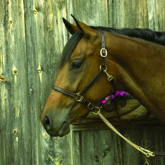 V3H1EB509C13D78C39209F50B151416369ER6185992P1