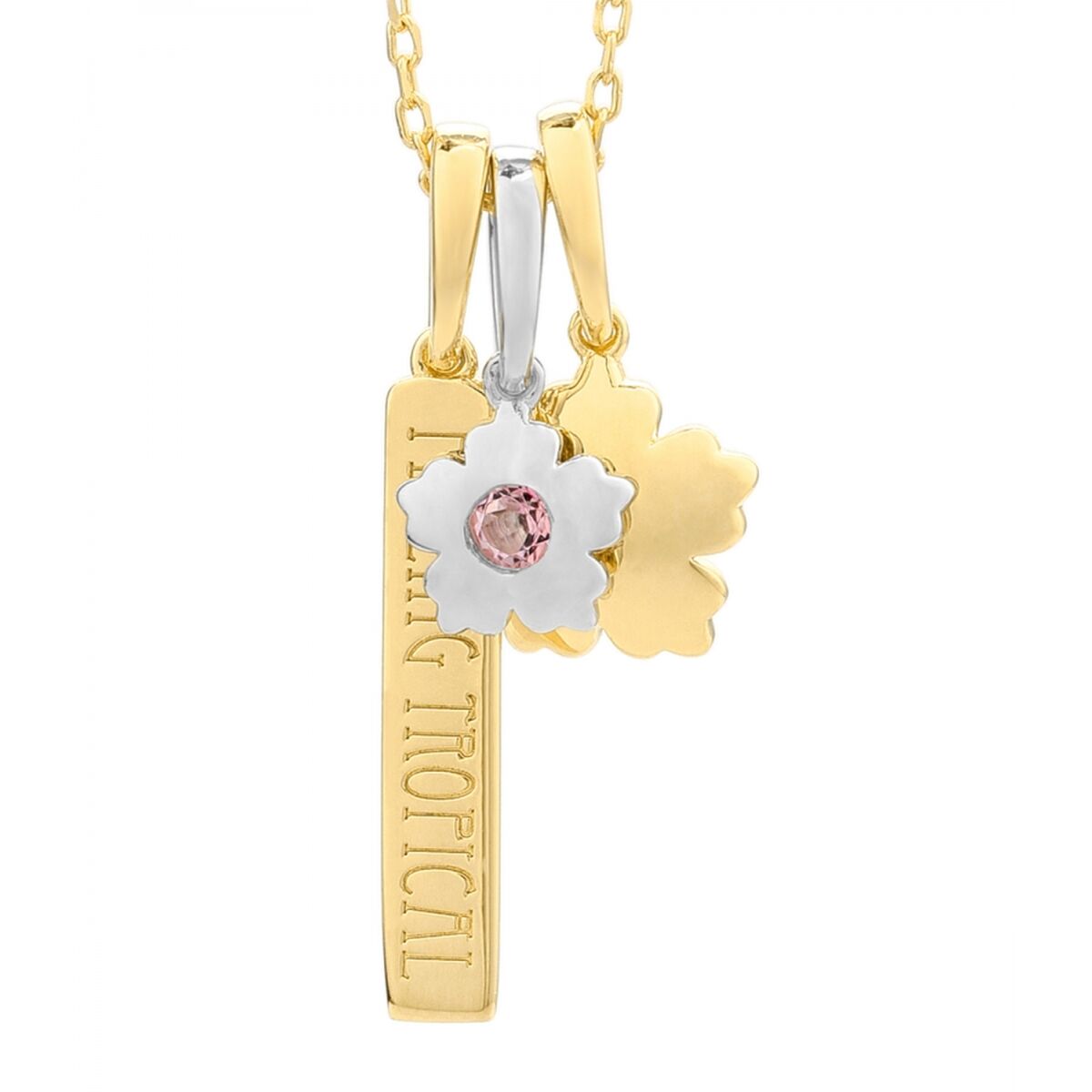 V5HE17B0EEB1AD837F086468E5A7398D74BR4060413P1