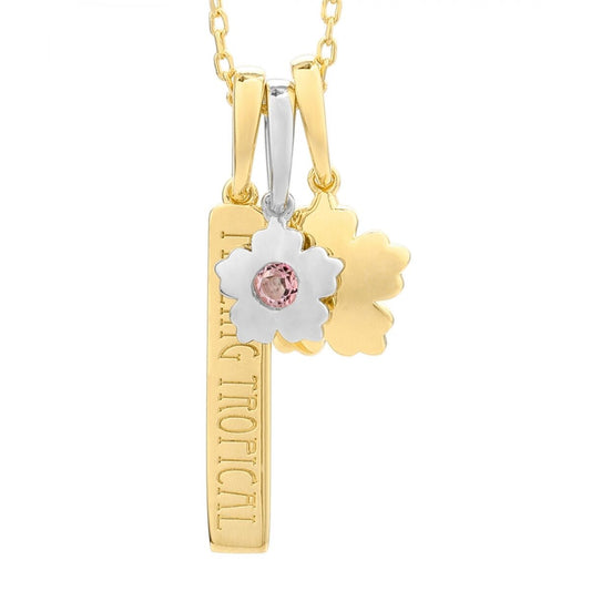 V5HE17B0EEB1AD837F086468E5A7398D74BR4060413P1