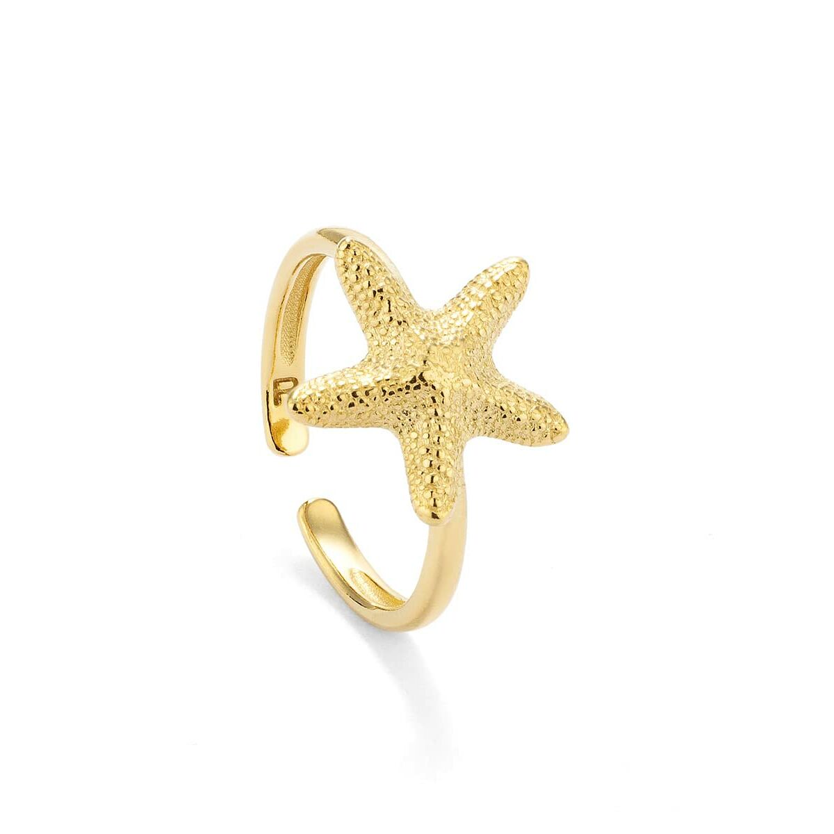 V5H6B78EA6A734E76FC3215CFB154928C21R4243657P2