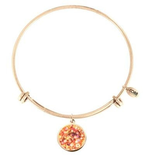 V6H541DBF22528BBF8A01EE13F71BC888CFR6614577P1