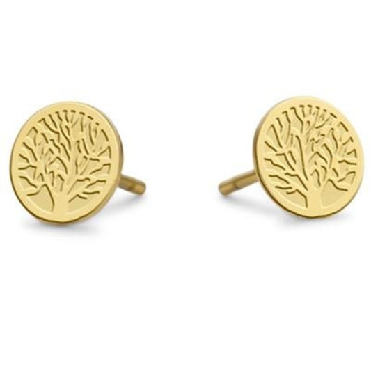 V3HFF6763A999EB66ADB3F01EB0944F402BR5752091P1